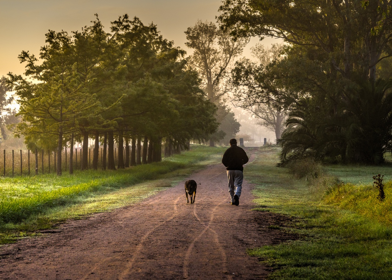 "Paseando al Toby" de Fernando Valdez Vazquez