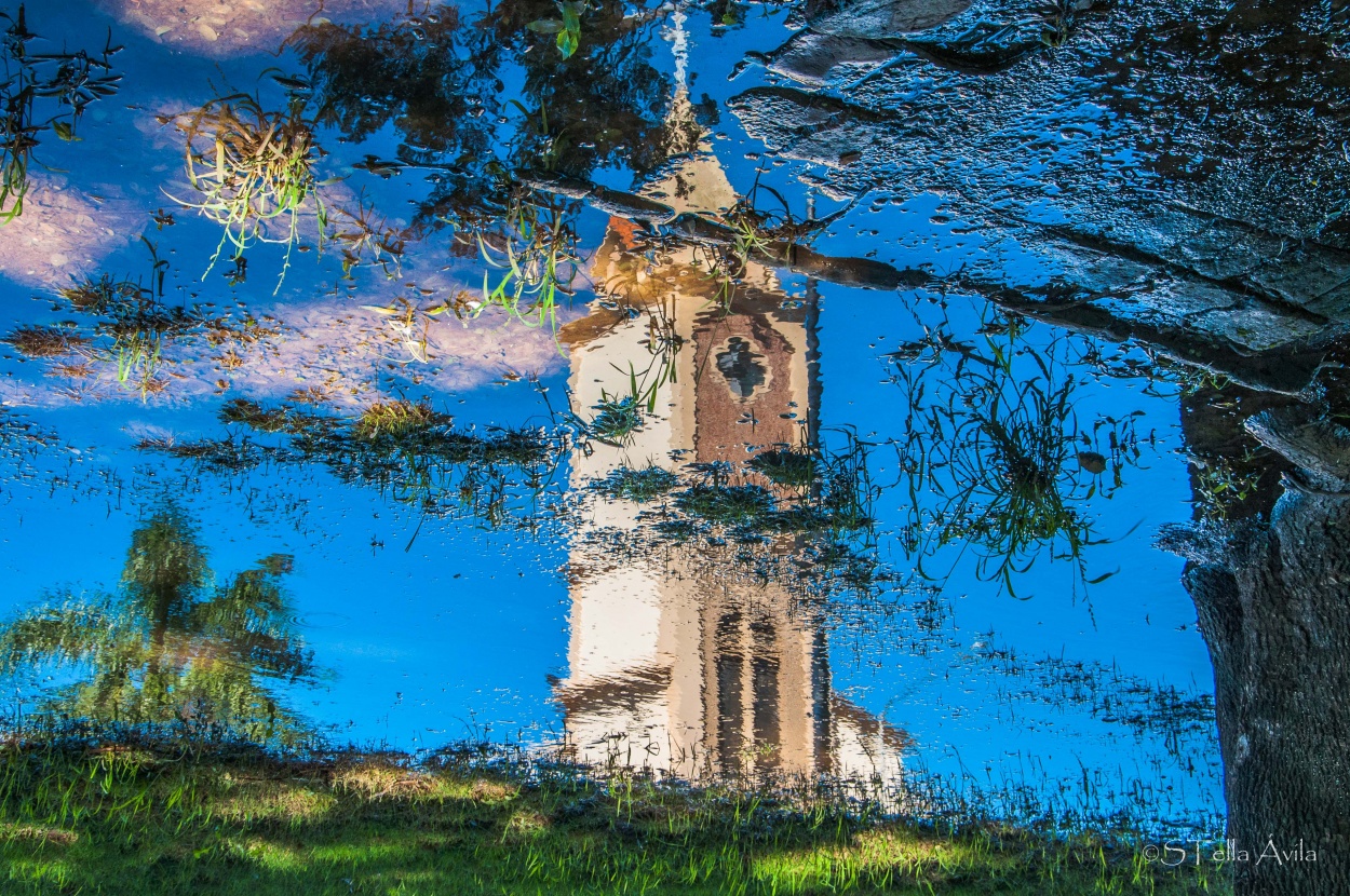 "As en el Agua como en el Cielo" de Stella Avila