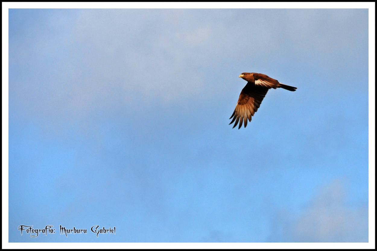 "`Una maana de vuelo`" de Ithurburu Gabriel Ignacio