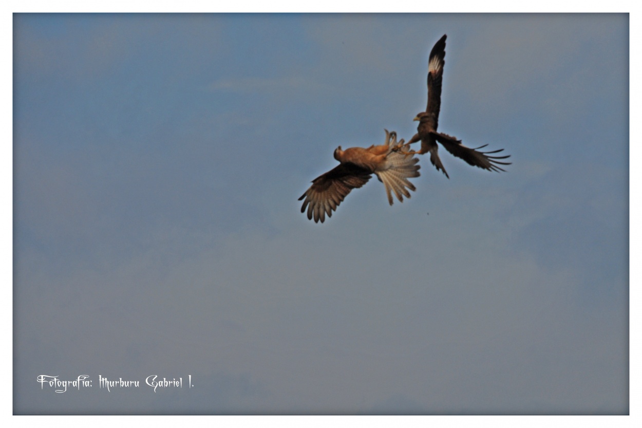 "`Acrobacias aereas`" de Ithurburu Gabriel Ignacio