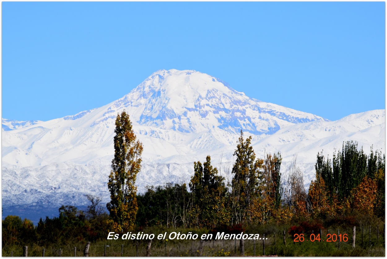 "No es lo mismo el otoo en Mendoza" de Roberto Cceres