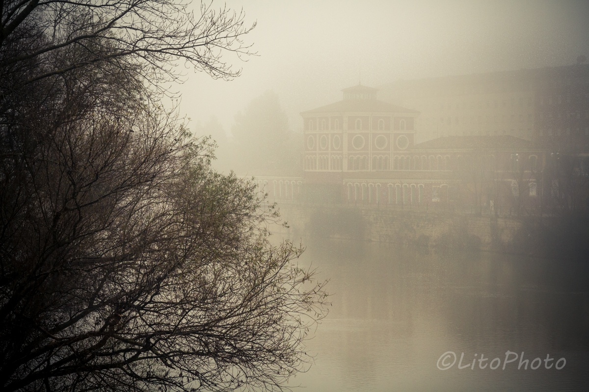 "Tarde de niebla (5)" de Angel Triana