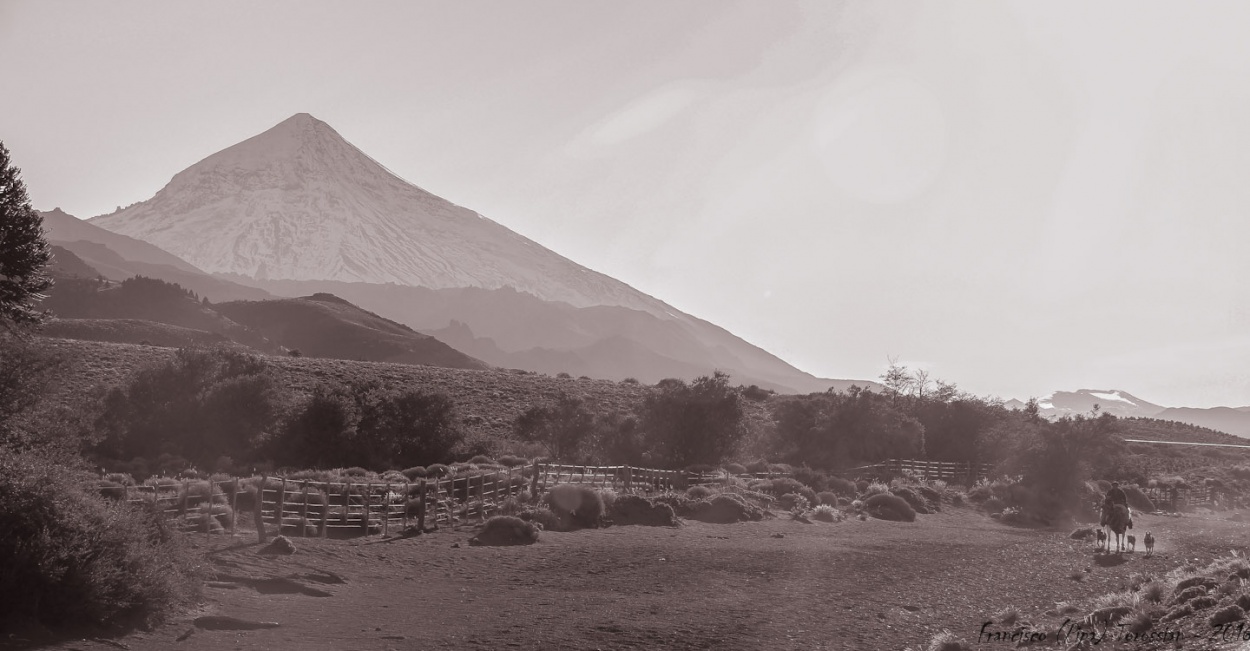 "De recorrida" de Francisco Andres Torossian