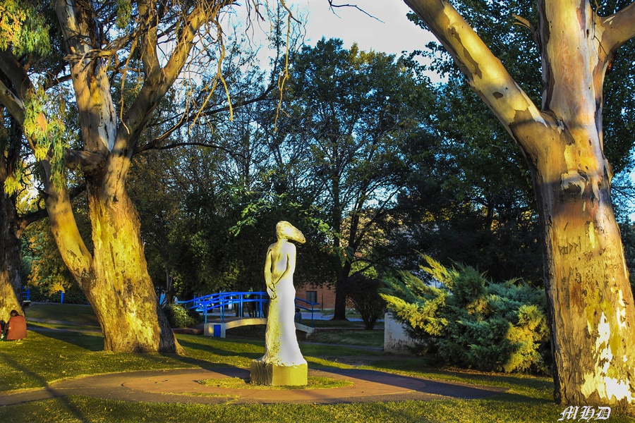 "La Dama de Blanco" de Marta Dominici