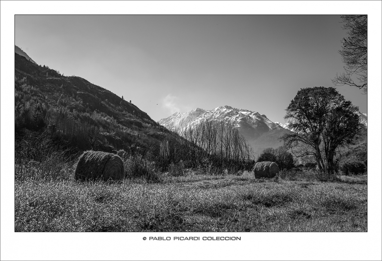 "Campos en El hoyo - Chubut" de Pablo Picardi