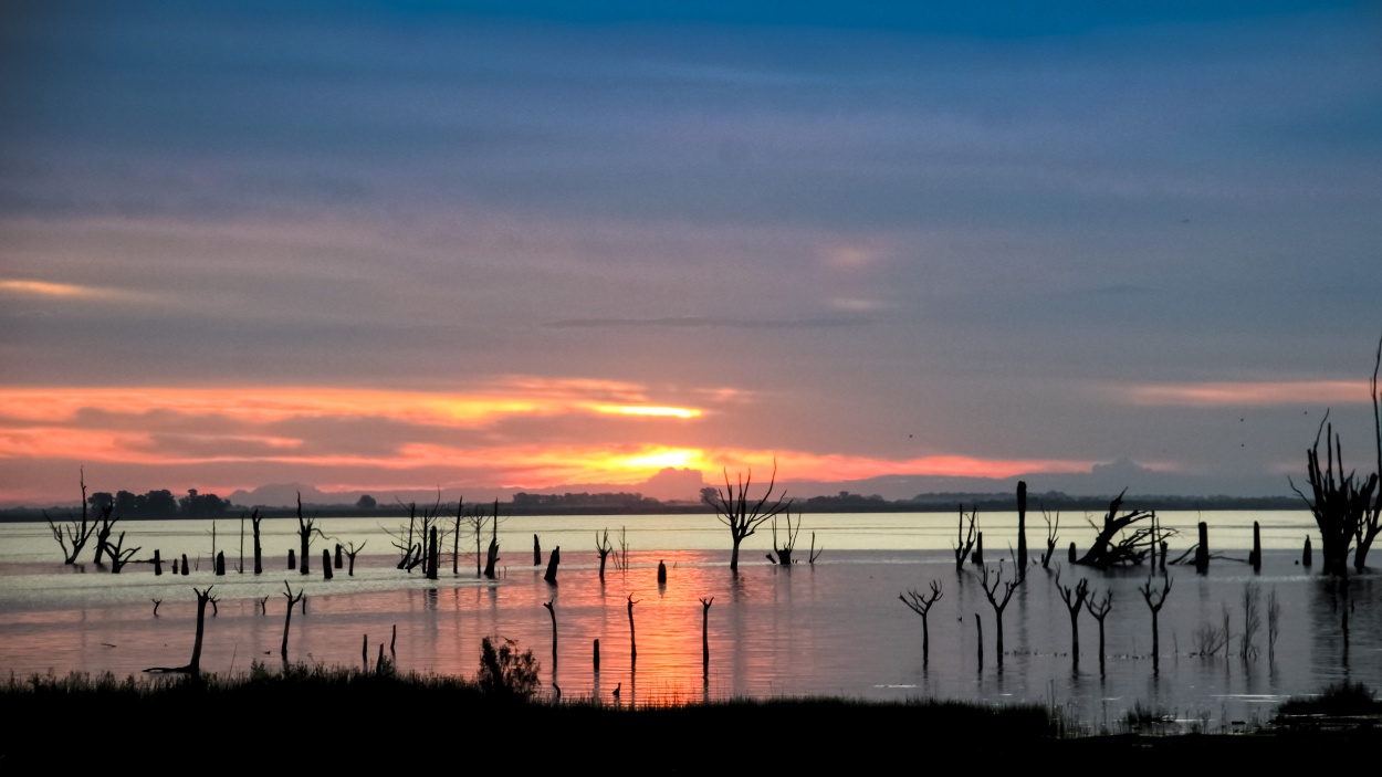 "`Miramar` Laguna de Mar Chiquita" de Nahuel Ruzzo