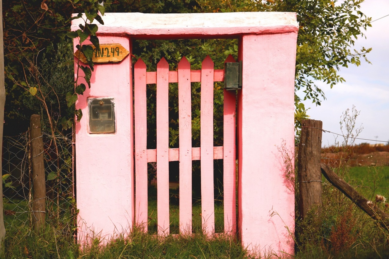 "La rosadita" de Norma Navarro