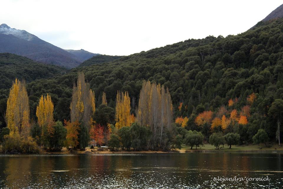 "Tardecita en el lago" de Alejandra Cormick