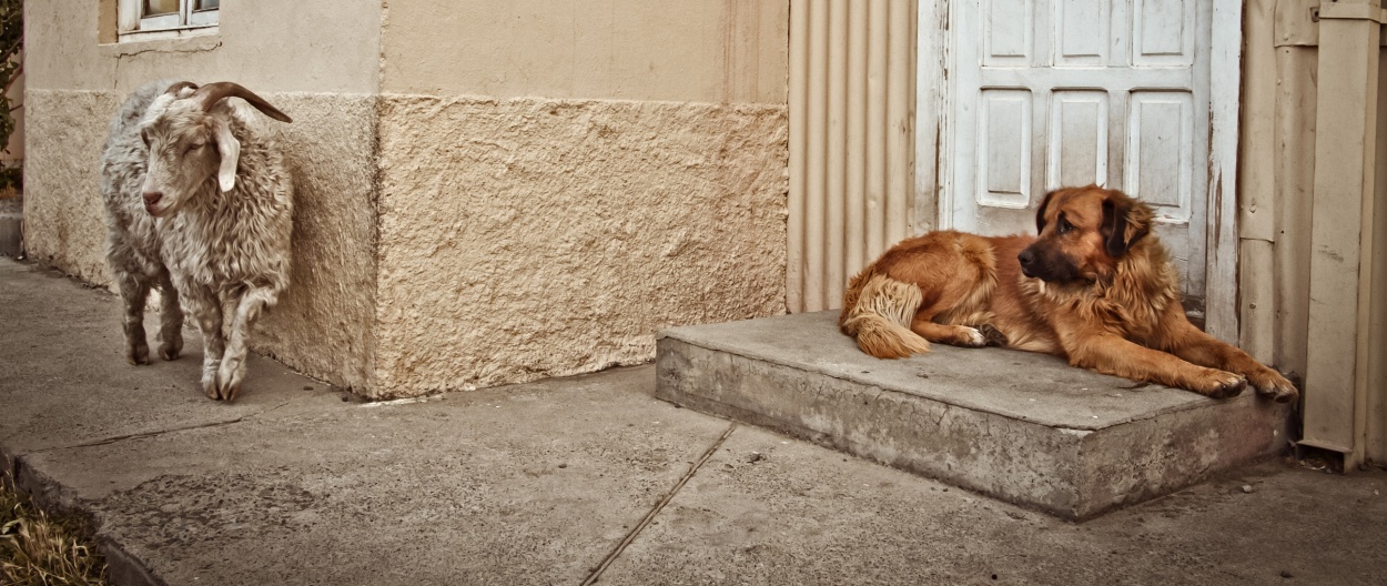 "Sin Ttulo" de Nicolas Paul Cazau