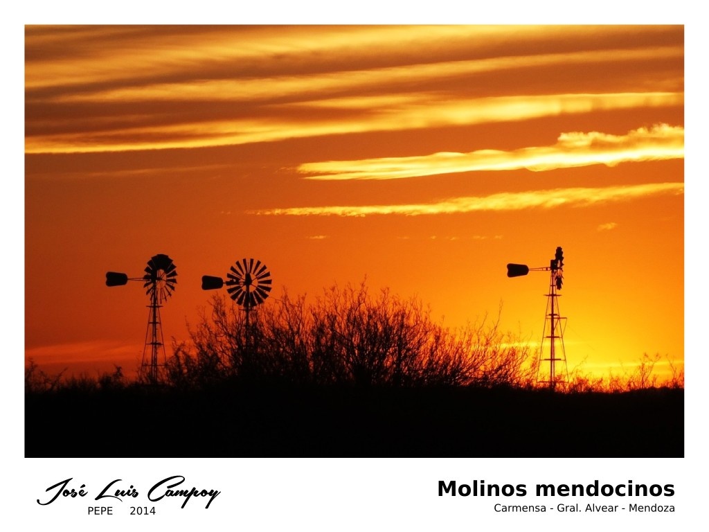 "Molinos mendocinos" de Jos Luis Campoy (pepe)