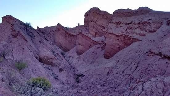 "colorado cerro" de Gustavo Erazo