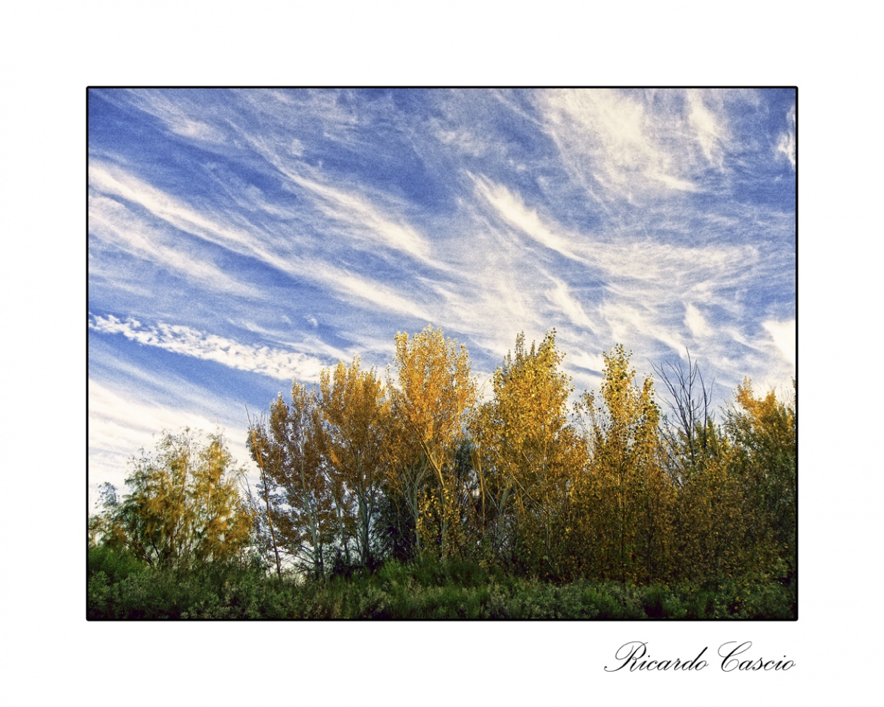 "Otoo y cielo" de Ricardo Cascio