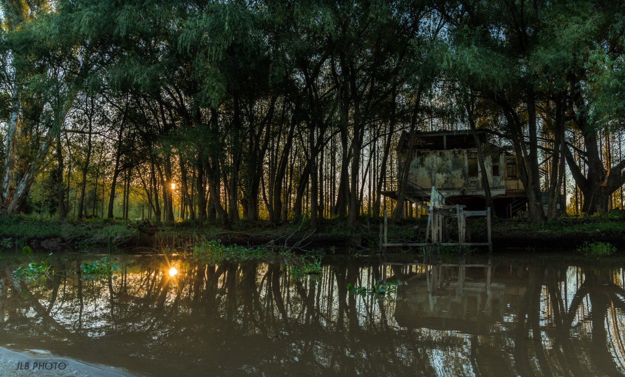 "El Delta `" de Jose Luis Blanco