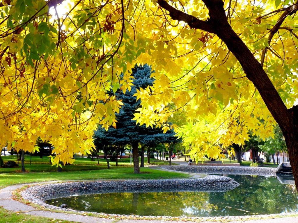 "Otoo en el Parque Central de Neuqun." de Carlos E. Wydler