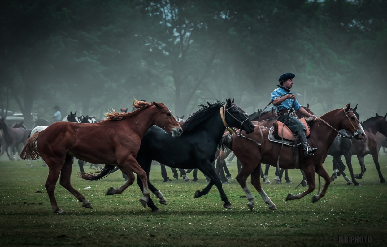 "Tradicion" de Jose Luis Blanco