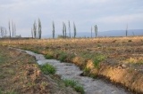 "Tupungato-Mendoza.-" de Jose Alberto Vicente