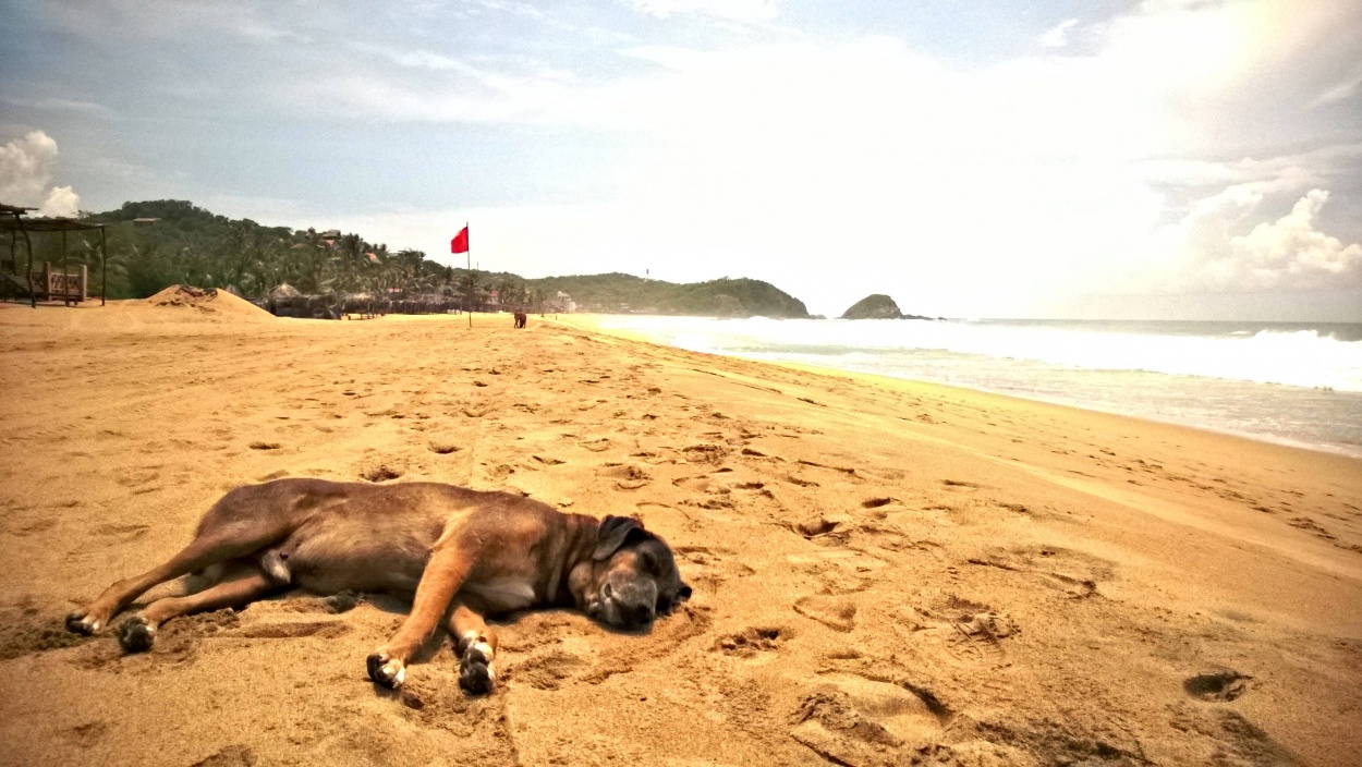 "Hora de la siesta" de Nicolas Sequeira