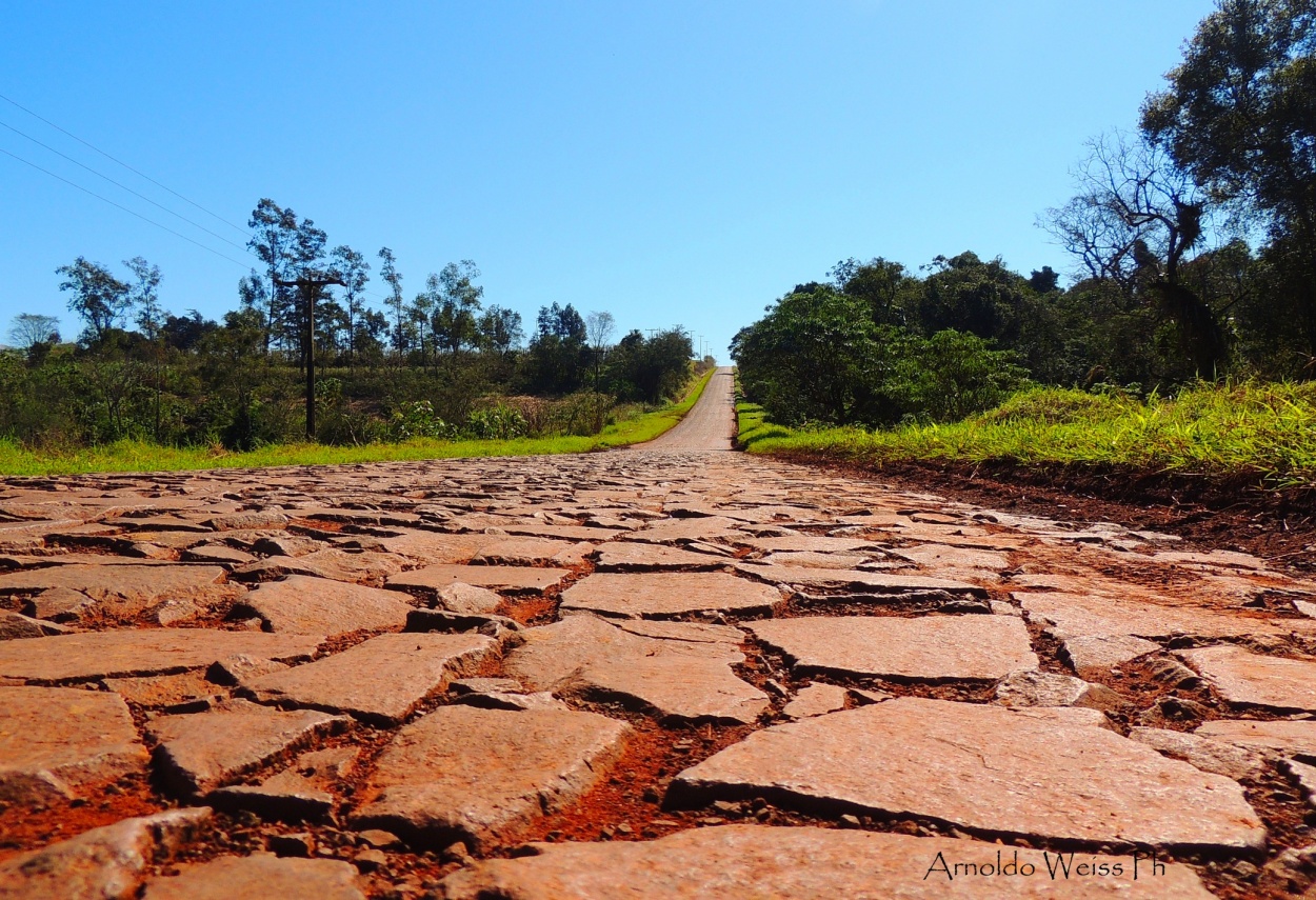 "Caminos del Paraguay..." de Weiss Arnoldo Raul