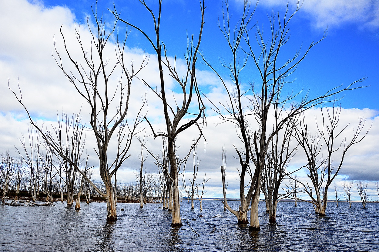 "Cielo y Agua. Epecuen" de Ruben H. Bongianino