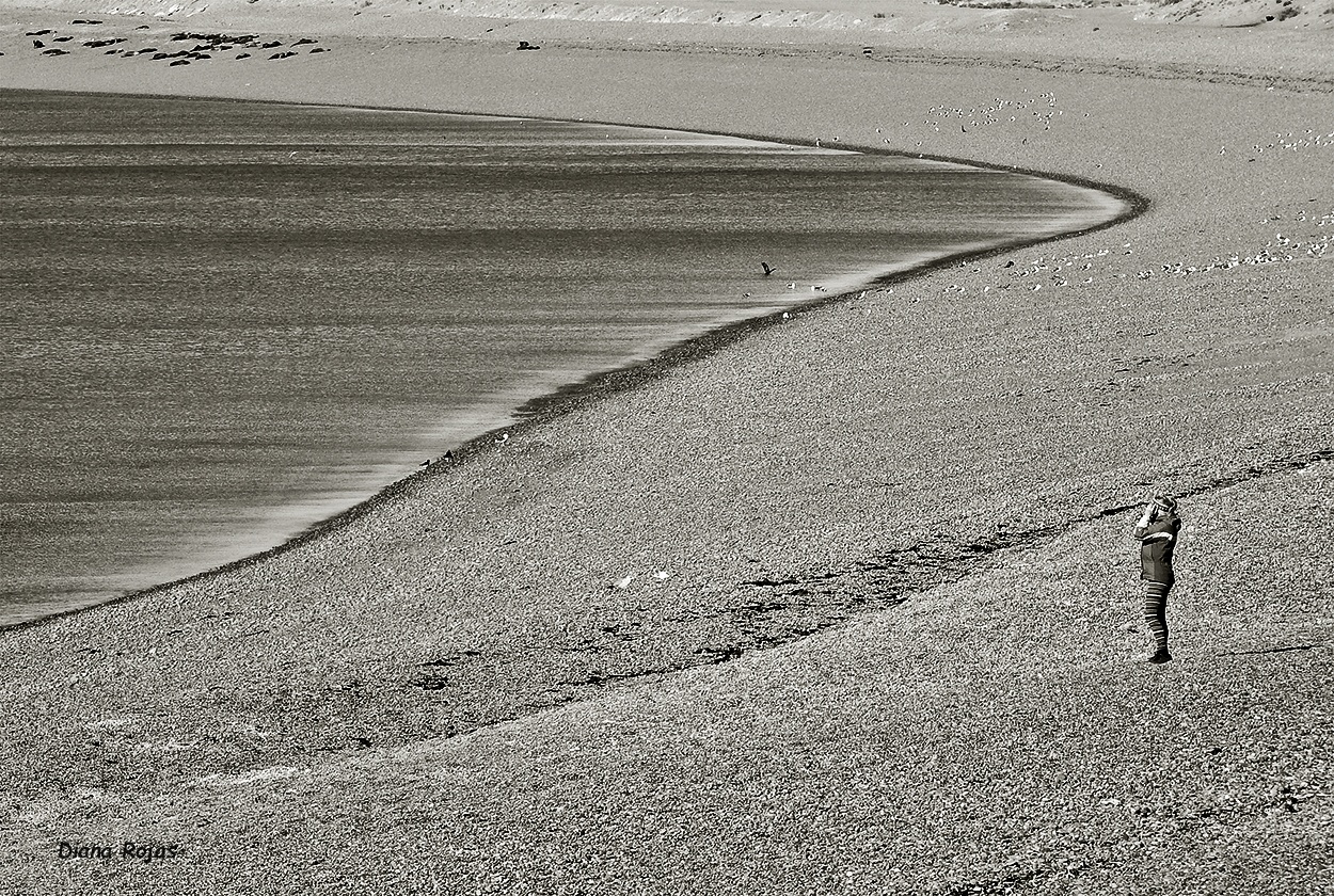 "Frente al mar" de Diana Rojas