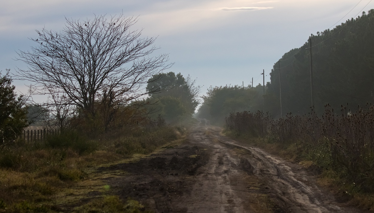 "camino rural" de Edith Polverini