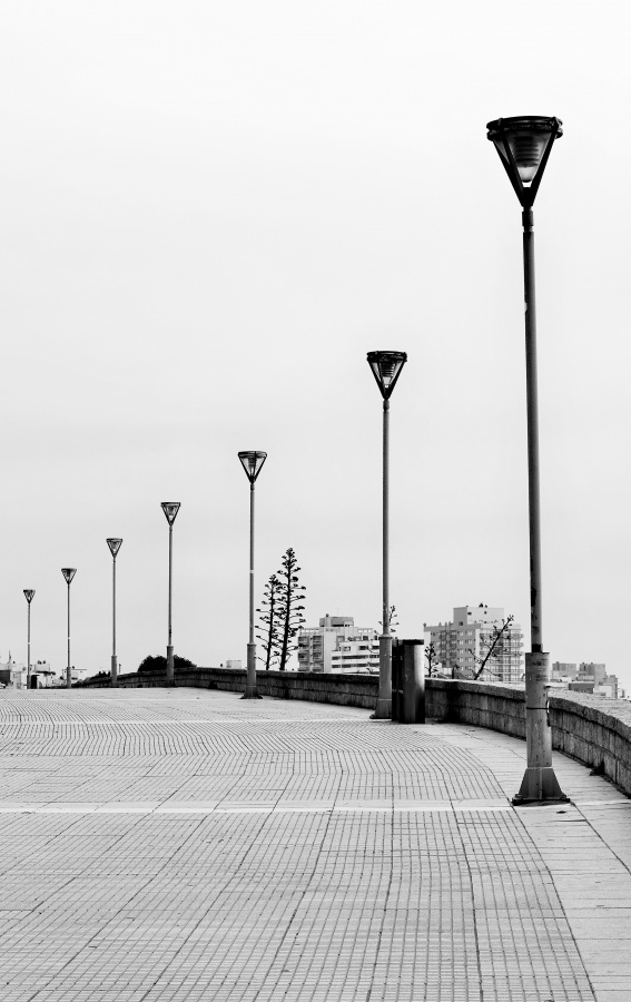 "Las farolas" de Adriana Claudia Gallardo