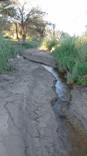 "agua que no as de beber" de Gustavo Erazo