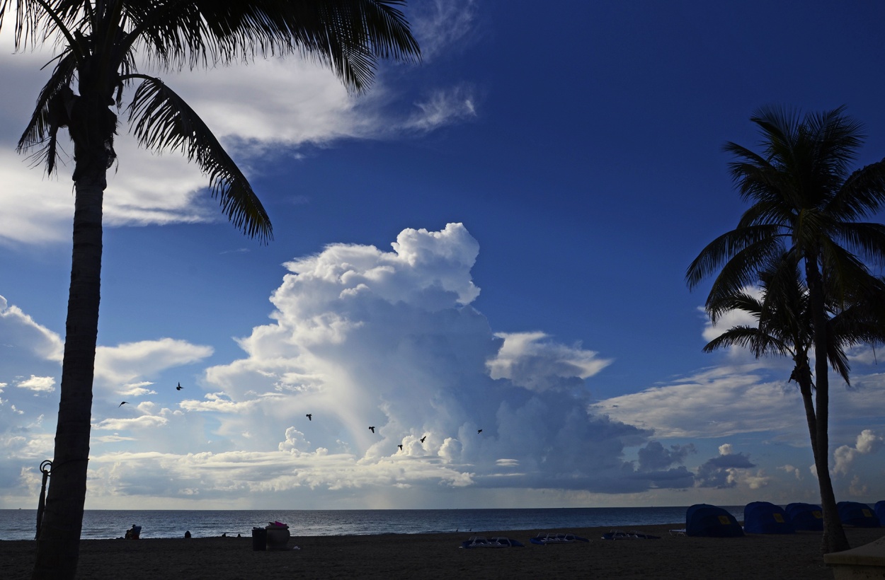 "Hollywood Beach Fl" de Monica Rollan