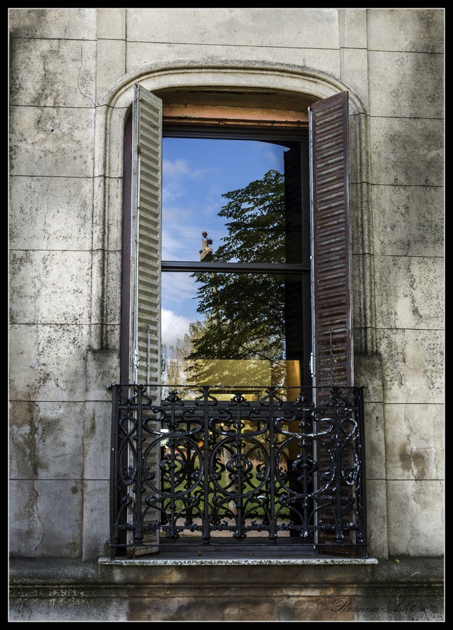 "El Cielo en tu Ventana" de Roxana Ashton