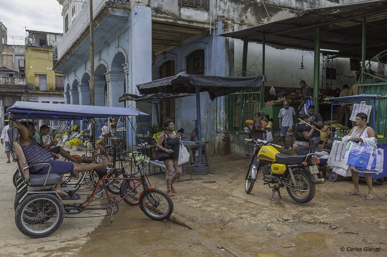 "La Habana: El Mercado." de Carlos Gianoli