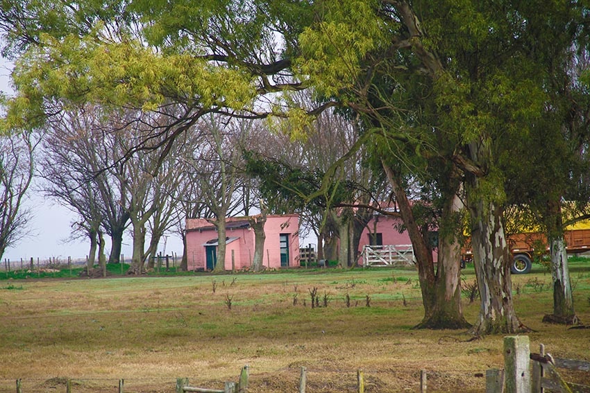 "la casita rosa" de Vernica Dana