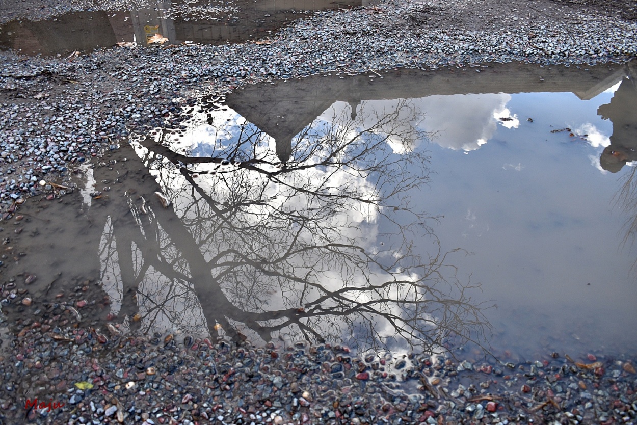 "Reflejos del pasado" de Maria Judith Sarli ( Maju)