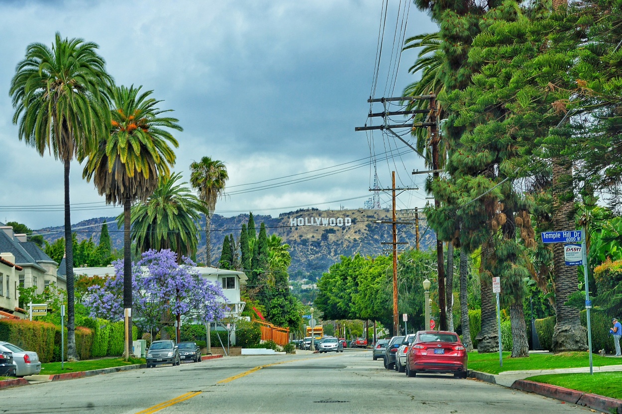 "El camino de los sueos...Hollywood, Los Angeles" de Sergio Valdez
