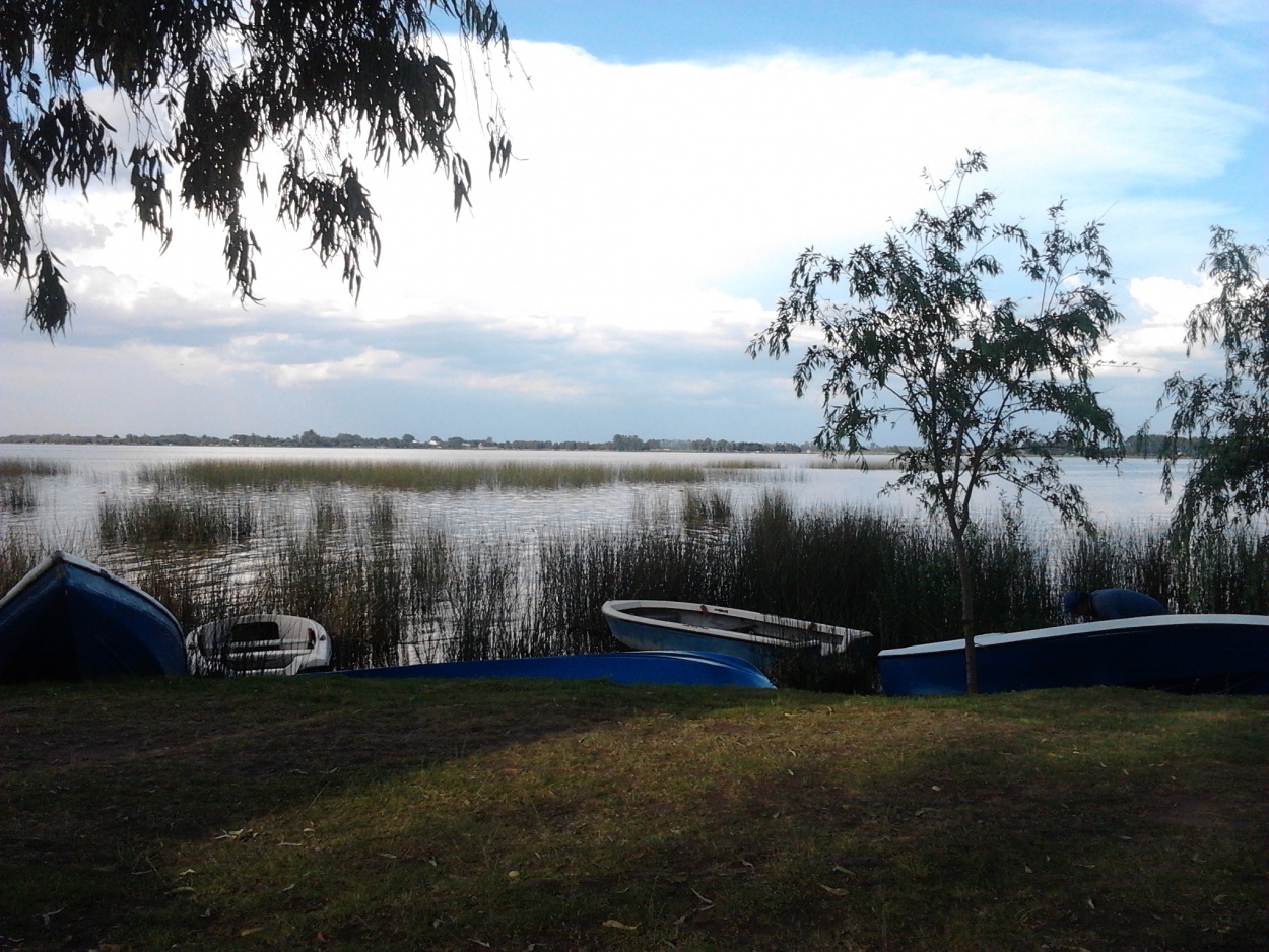 "Laguna de Monte" de Jimena Aguero