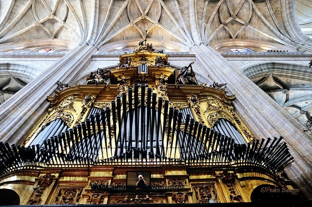 "El organo..." de Pedro Bavasso