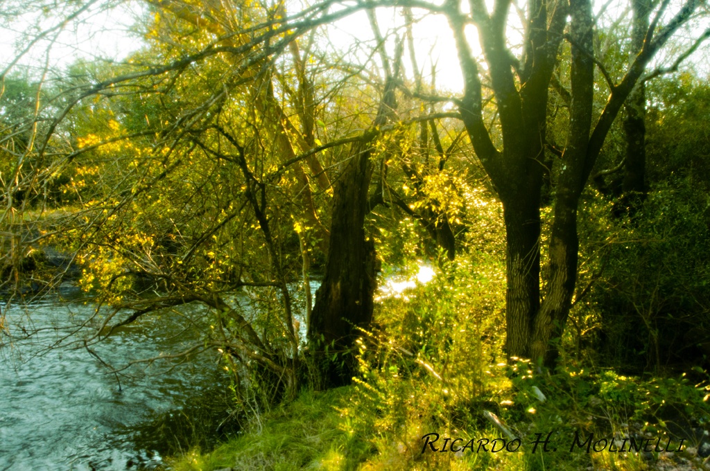 "Costas del Arroyo Negro II" de Ricardo H. Molinelli