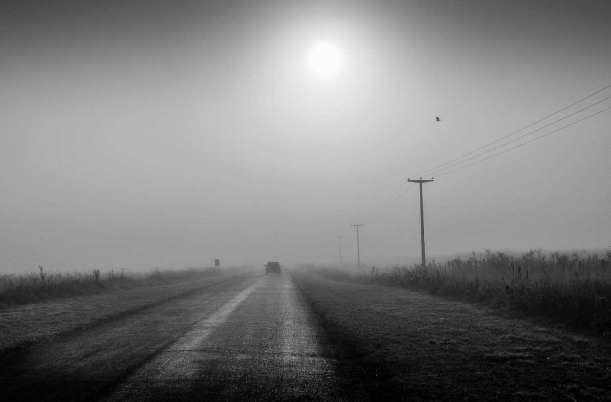 "Hacia la luz" de Fernando Valdez Vazquez