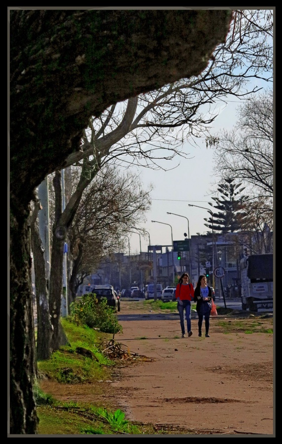 "Por el camino de tierra" de Jorge Vicente Molinari