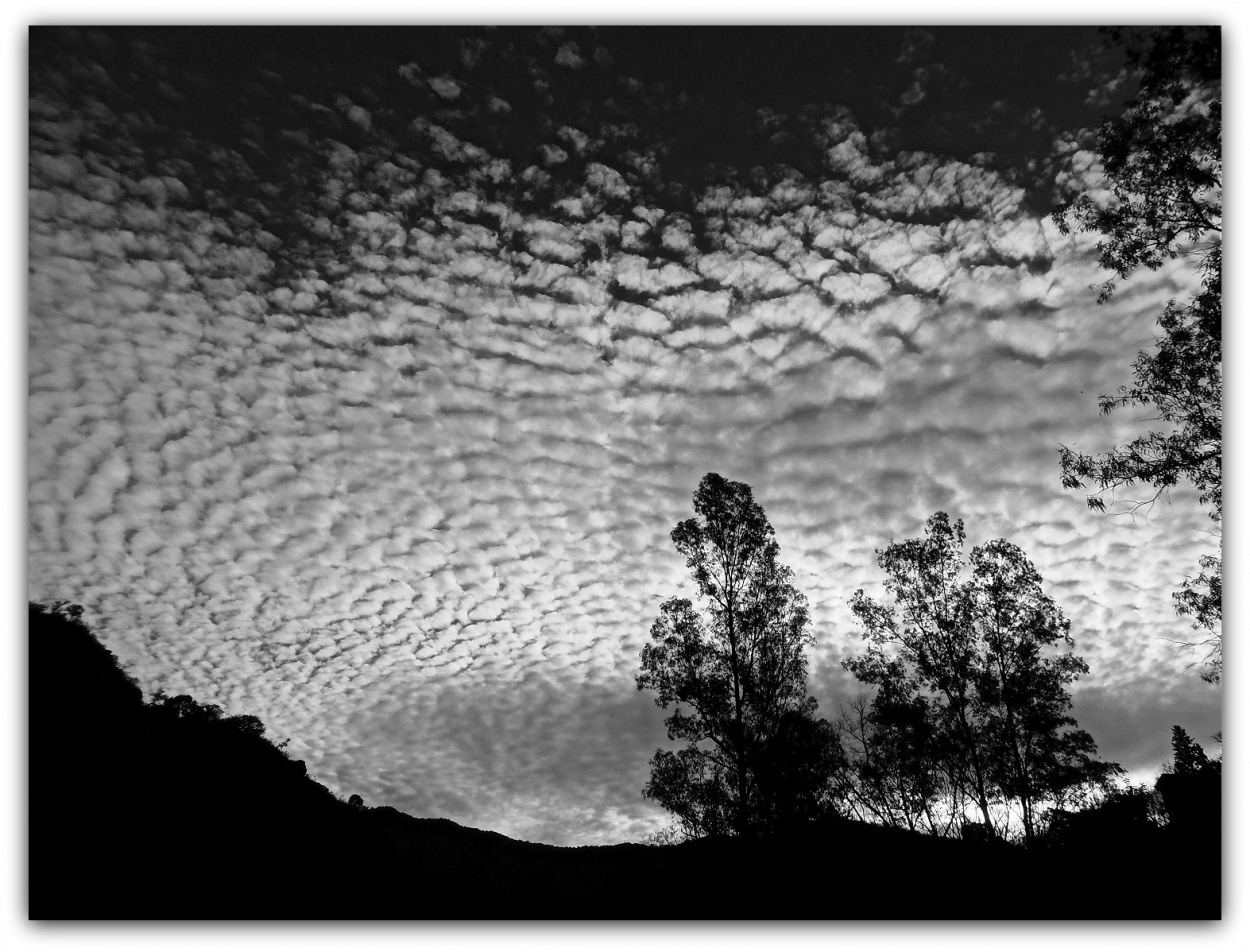 "cosecha de nubes" de Marcos Pedro Escudero