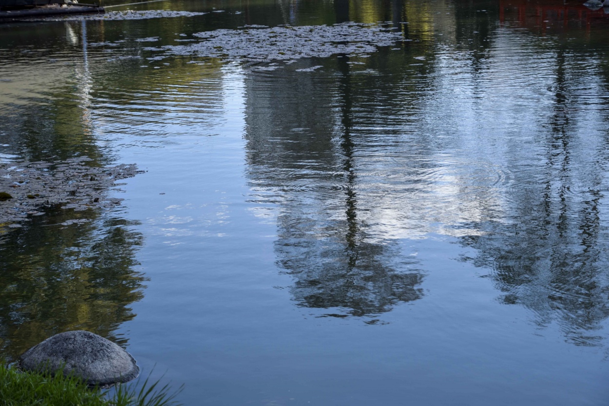 "Reflejos." de Silvia Graciela Saavedra