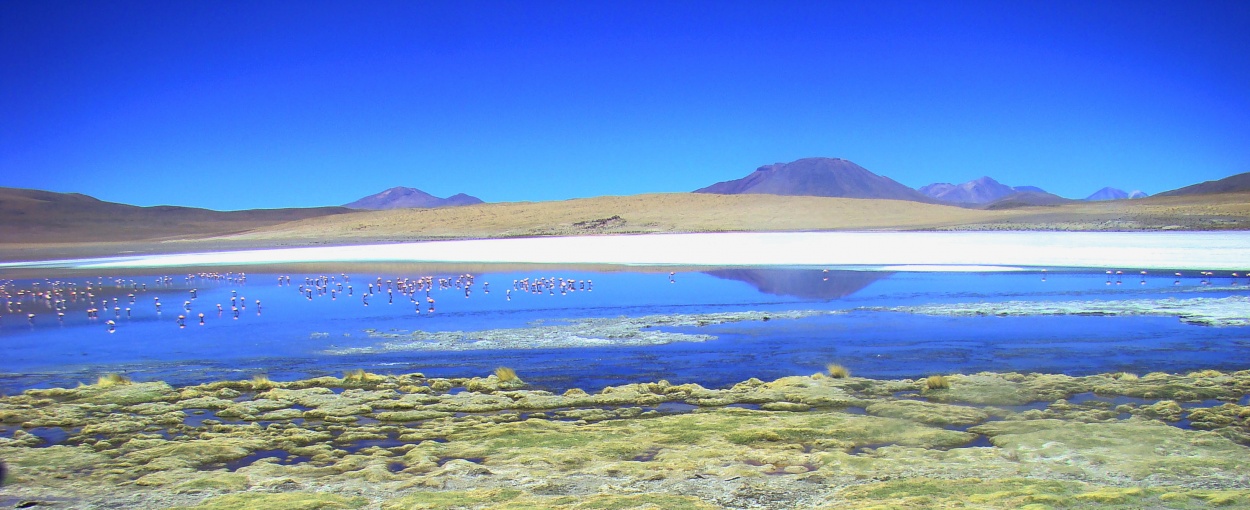 "Reflrjo azul" de Juan Daniel Rodriguez