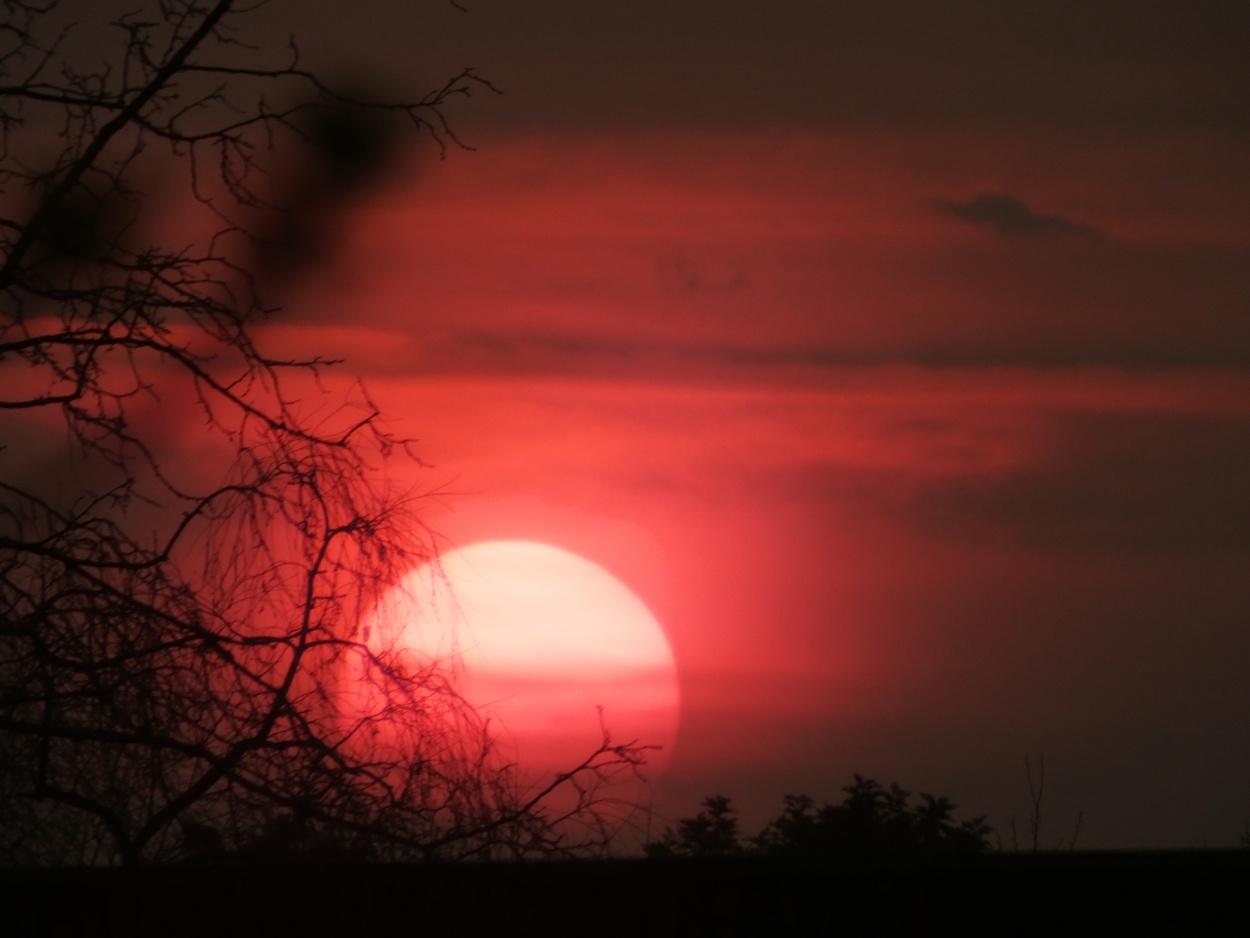 "Atardecer sangriento" de Juan Fco. Fernndez