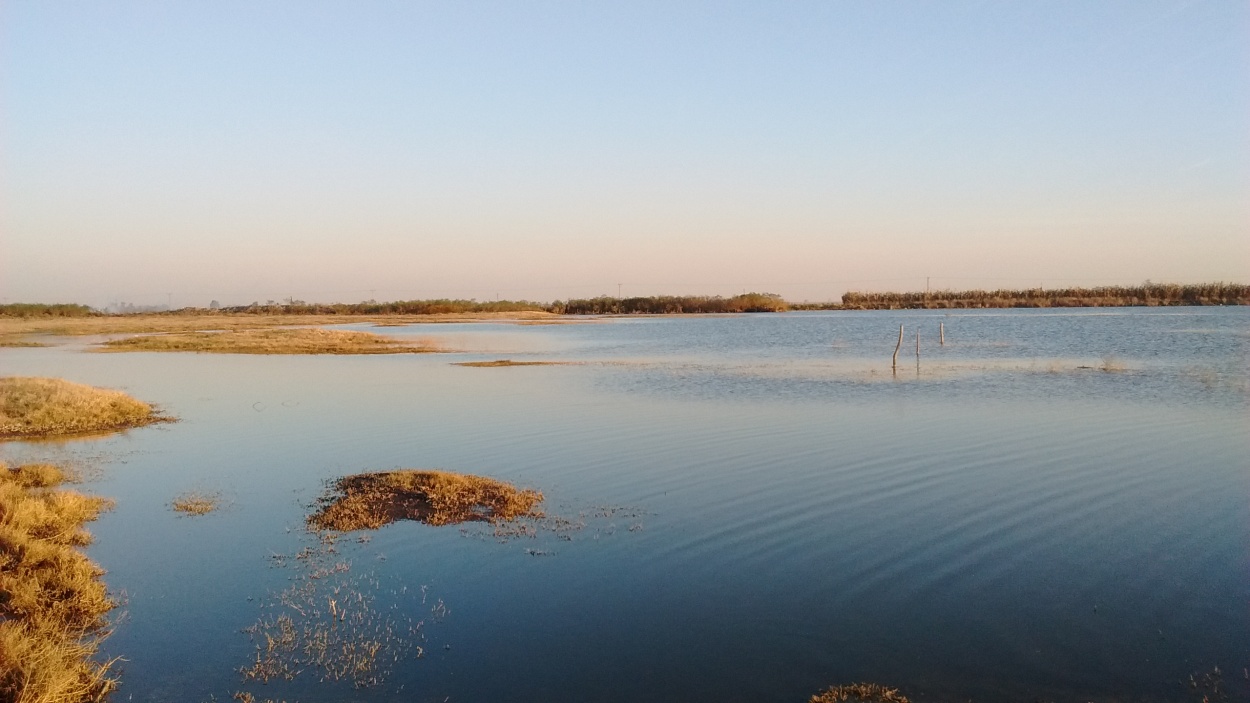 "Un campo inundado." de Ismael Minoves