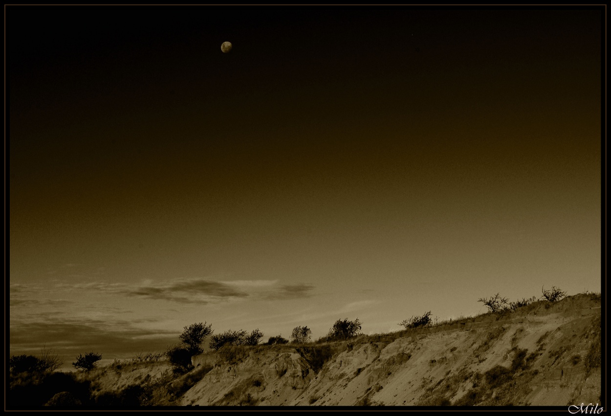 "`una tarde en los medanos...`" de Emilio Casas (milo)