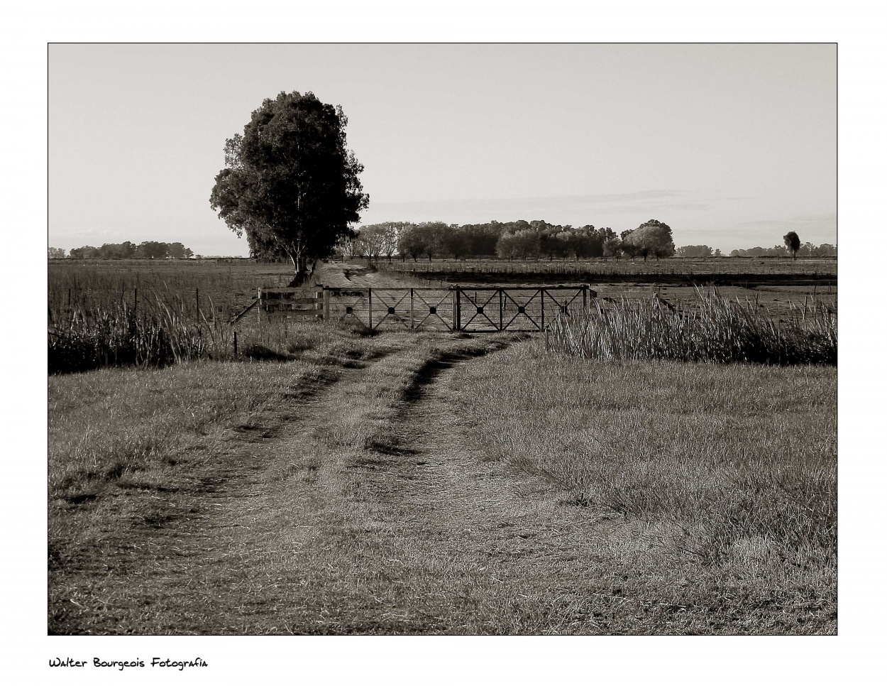 "Campestre" de Walter Bourgeois