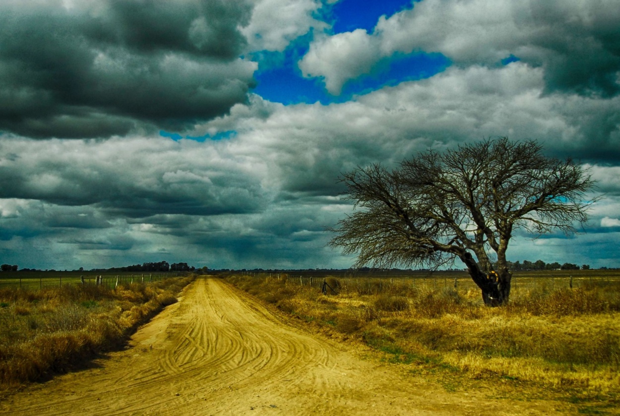 "los caminos de la vida" de Luis Silva