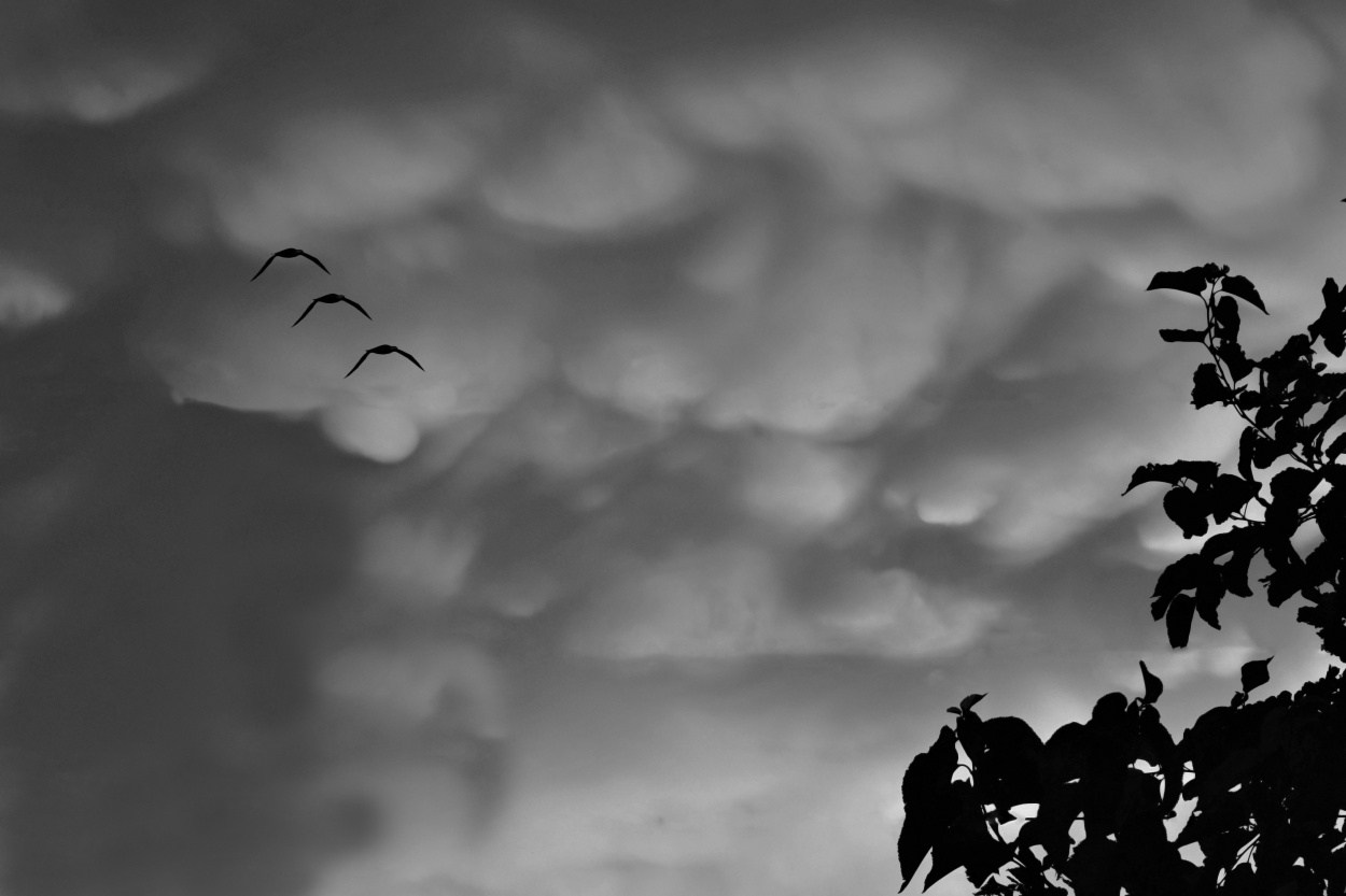 "Escapando a la tormenta" de Adriana Claudia Gallardo