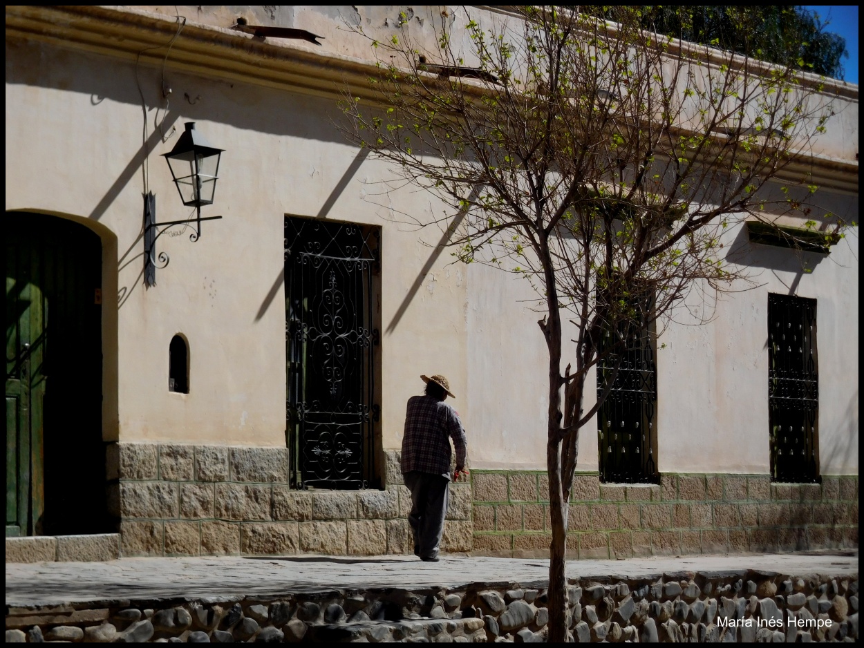 "El solitario caminante" de Mara Ins Hempe