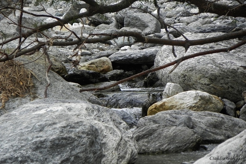 "Rocas" de Claudia Garca