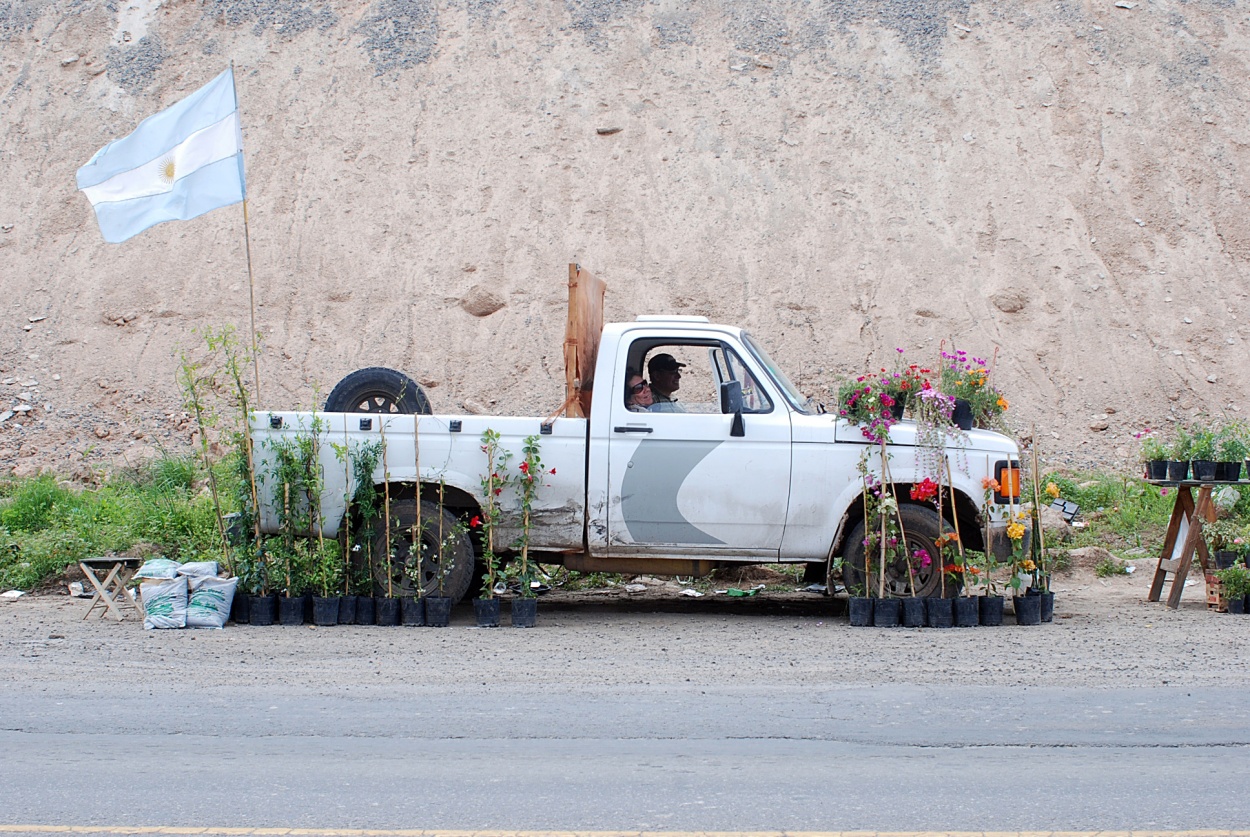 "vivero f100" de Marcelo Dufur